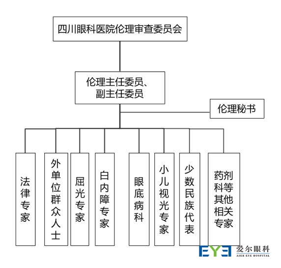 伦理委员会架构0729