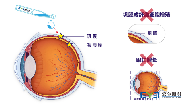 图片 2 图片 2