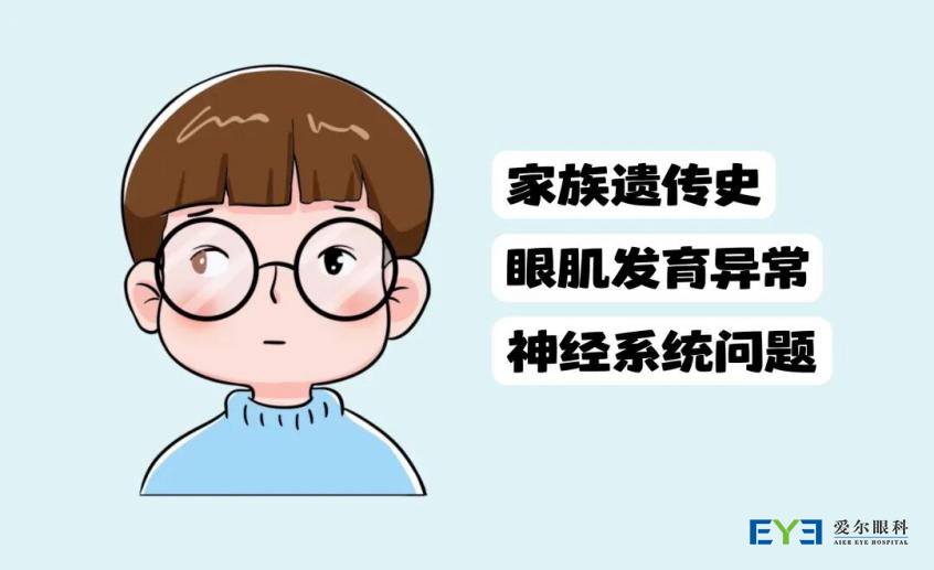 图片 5 图片 5