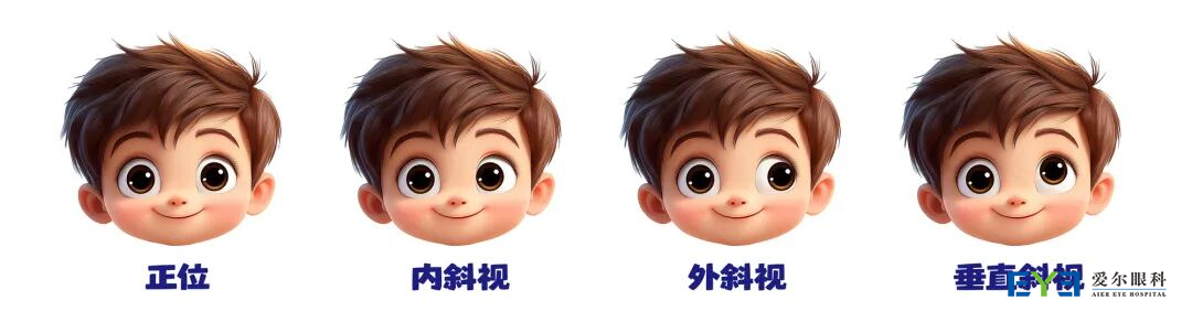 图片 2 图片 2