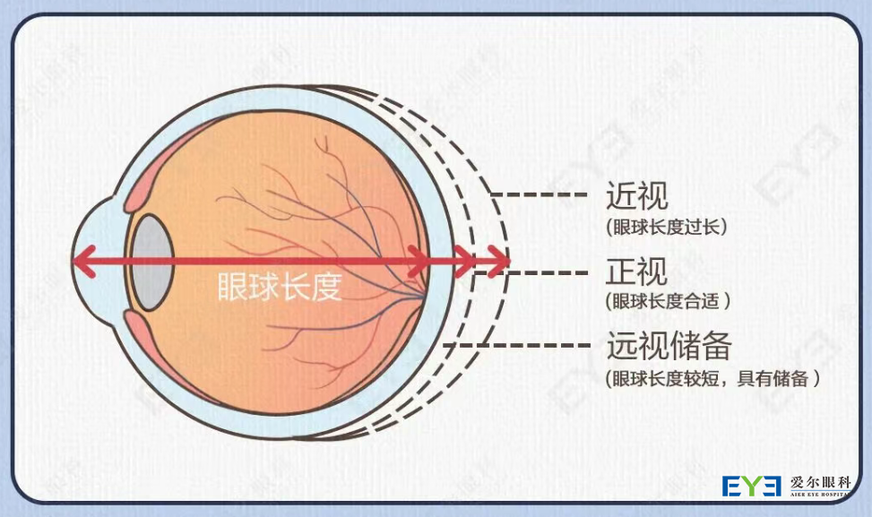 图片 1 图片 1