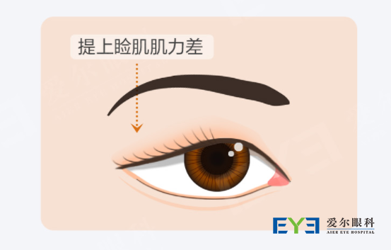 图片3 图片3
