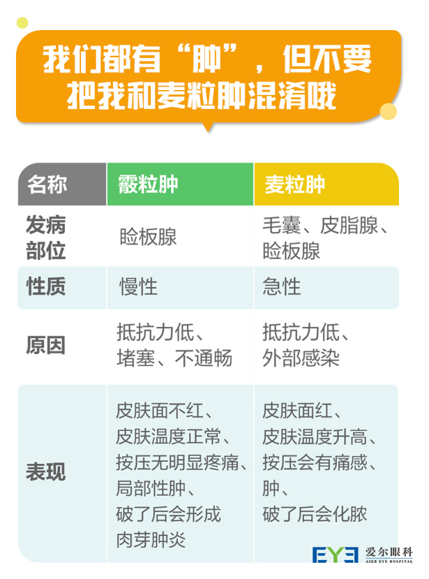 图片3 图片3