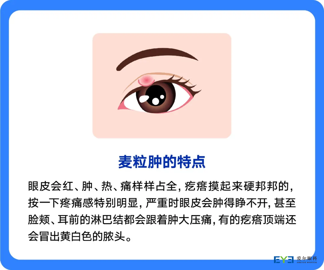 图片1 图片1