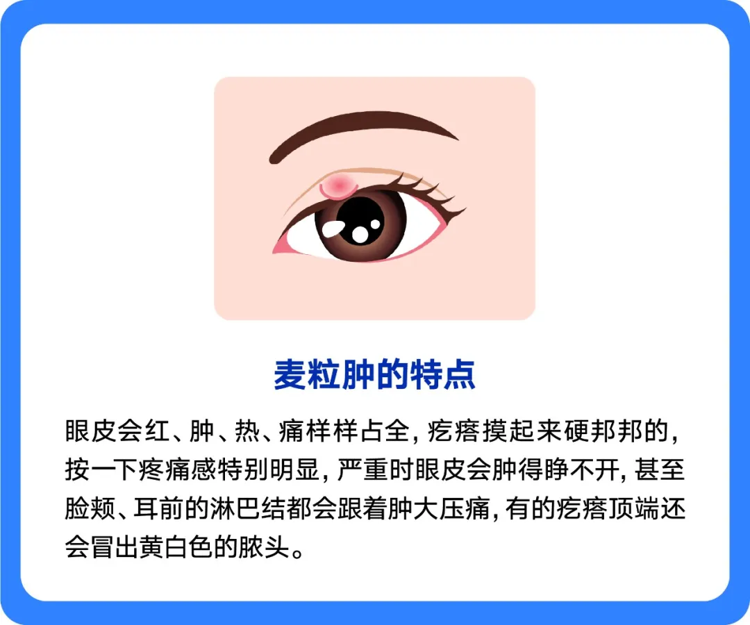 麦粒肿和霰粒肿的区别是什么？