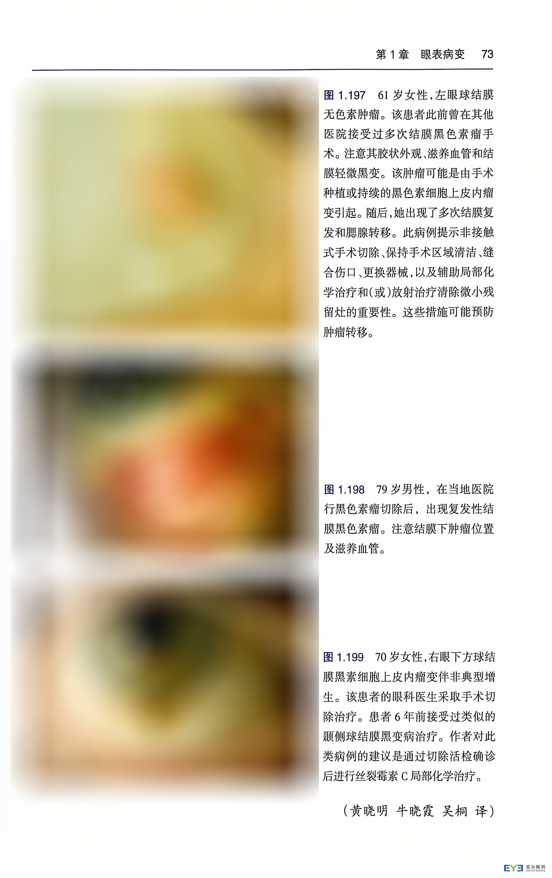 c18c86d5-25c3-48fe-b155-f36ceb0c4e29-1